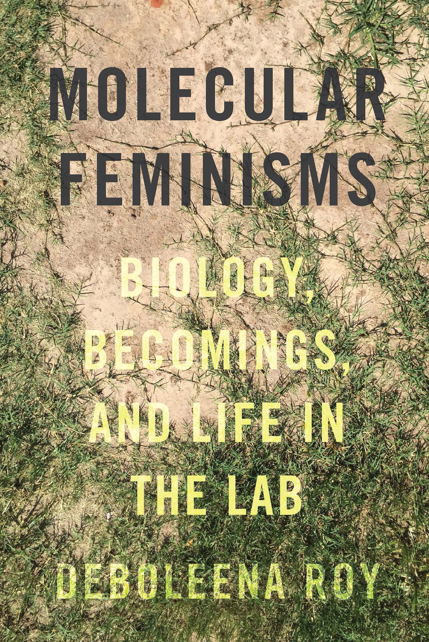 molecular-feminisms.jpg